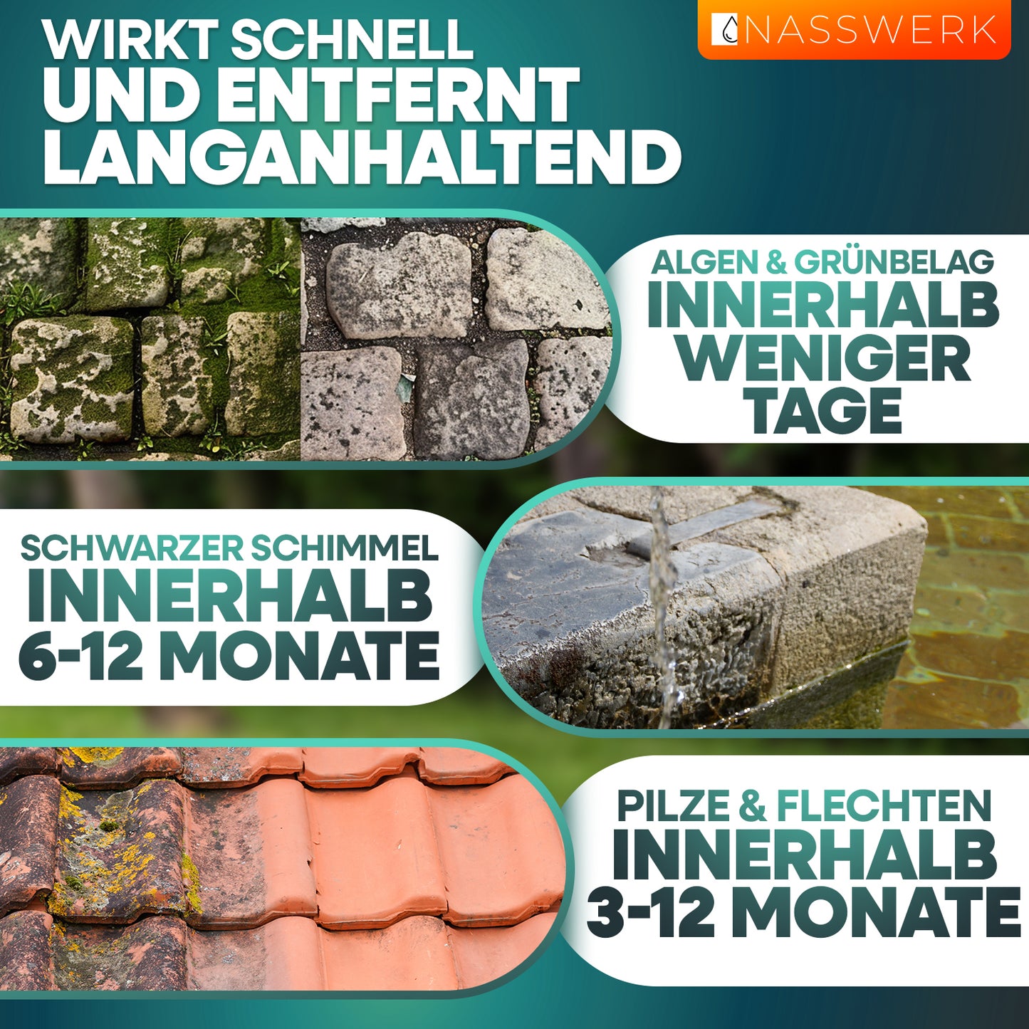 Grünbelagentferner Konzentrat